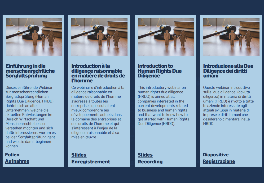 Thumbnail_webinaire_Introduction à la diligence raisonnable